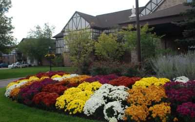 Fall into Vibrant Colors with BE!