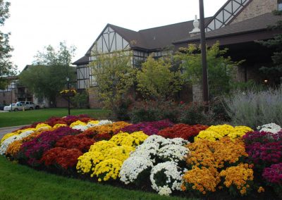 Fall Colors