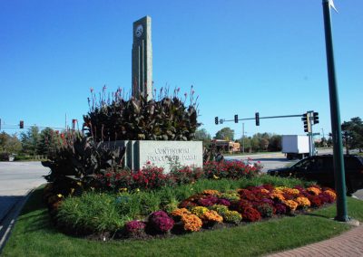 Fall Colors