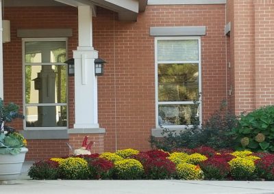 Fall Colors