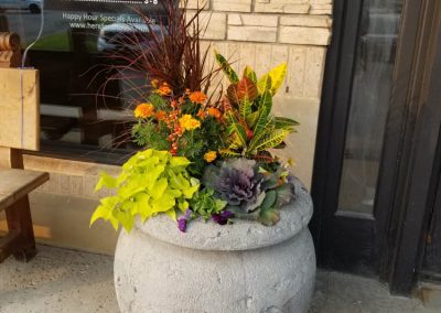Fall Colors