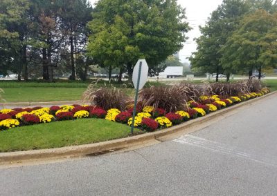 Fall Colors