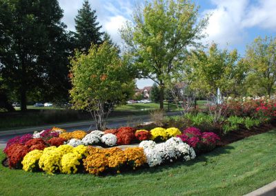 Fall Colors