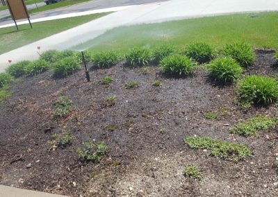 Irrigation