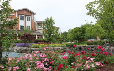 Balanced Environments earns only Chicagoland Gold Award of Excellence for NALP for 2021