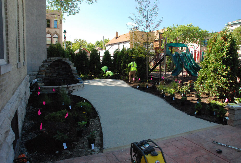 Tree Installation