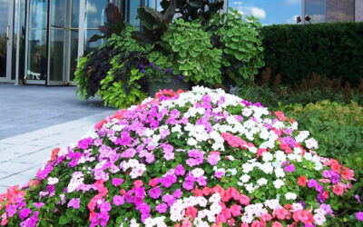 Landscape Management Checklist March 2022