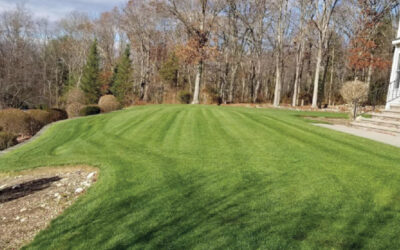 Turf Care + Aeration