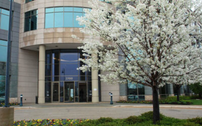 Keep Spring Blooming