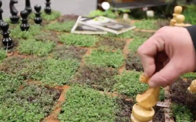 Elevate your Landscape