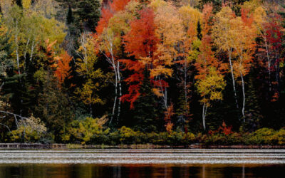 One Tank of Gas for Amazing Fall Colors!