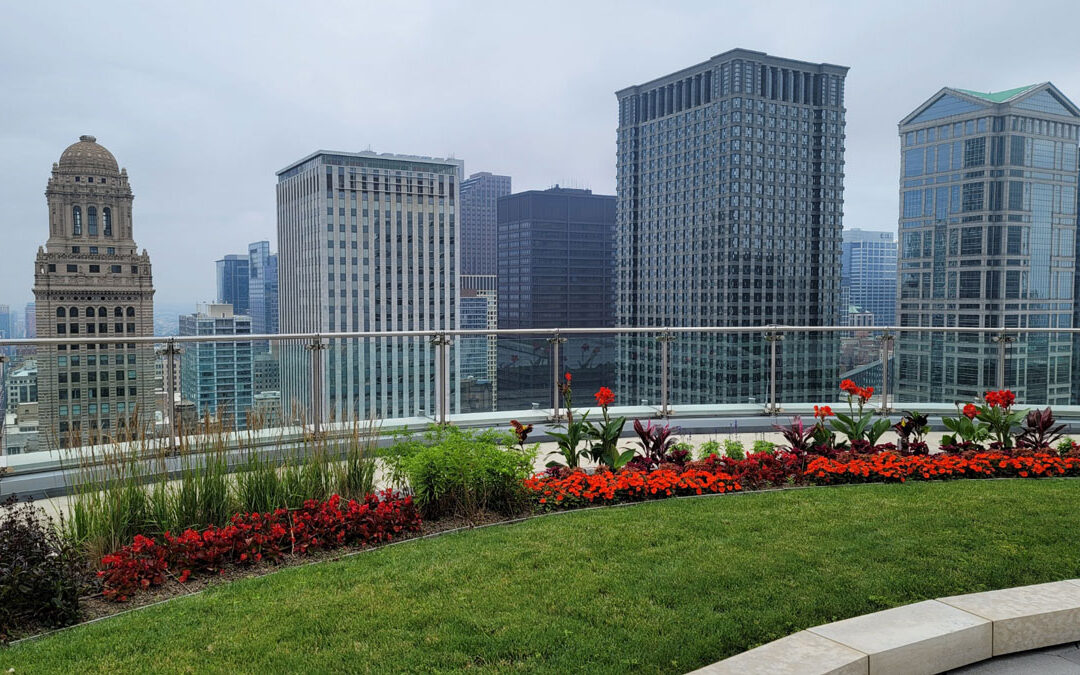 Celebrate Earth Month with Green Roofs