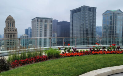 Celebrate Earth Month with Green Roofs