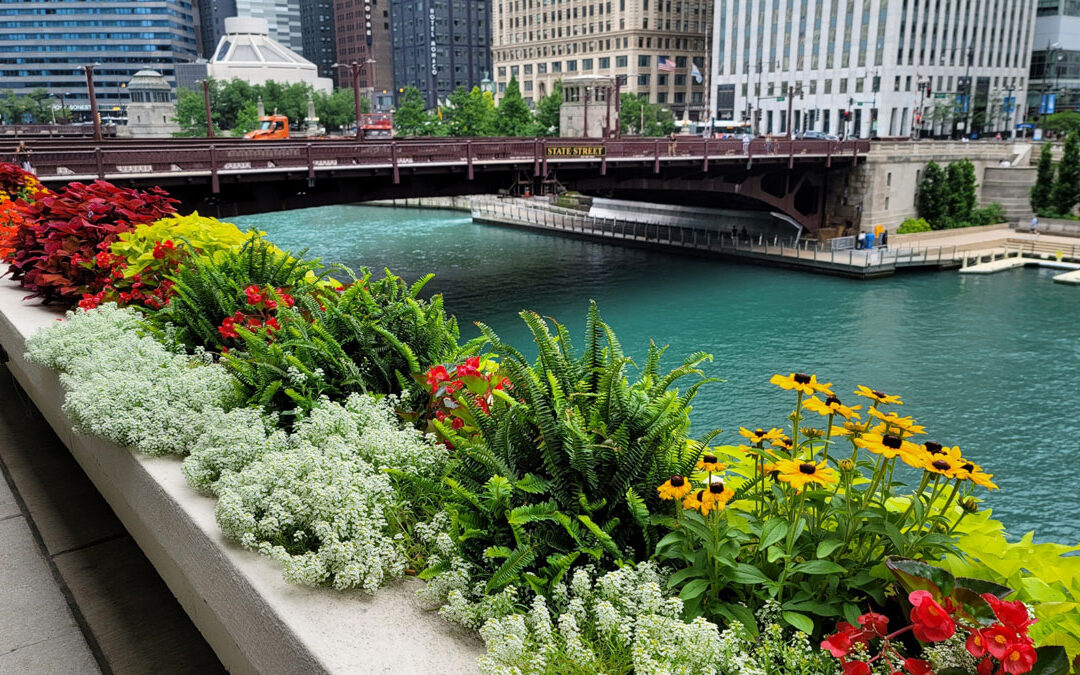 Color Your World: Plan Your Summer Floral Showcase with BE!