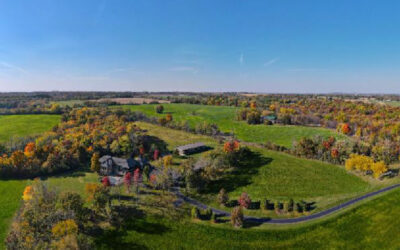 Last Blast of Fall