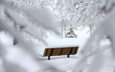 Stay Ahead of Winter: Snow Contracts Available Now