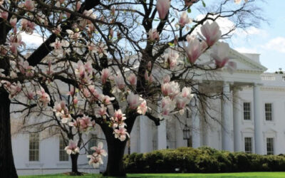 Celebrate Presidents Day with a Floral Tribute!