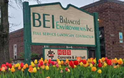 Let Us Help You Prep Your Landscape for the Upcoming Season