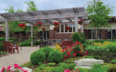 Your Landscape Deserves the Luck of the Irish