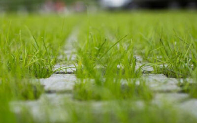 Why Permeable Parking Lots are the Future of Sustainable Development