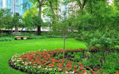 Revitalize Your Lawn with Dethatching and Aeration Services