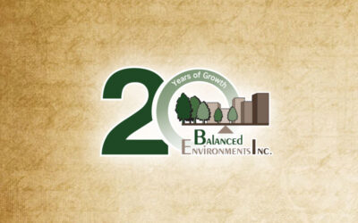 Celebrating 20 Years of Growth – Employee Highlights