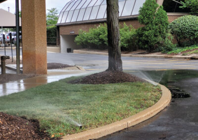 Irrigation Project