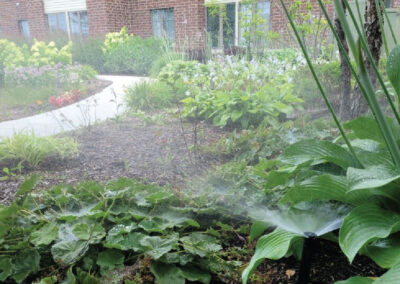 Irrigation Project