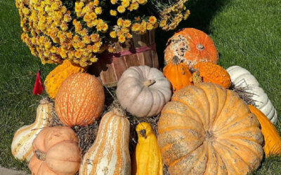 Experience Autumn’s Splendor