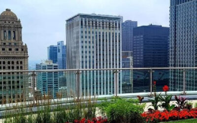 Discover BE’s Best Practices for a Greener World!