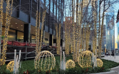 Let Us Brighten Your Holidays!