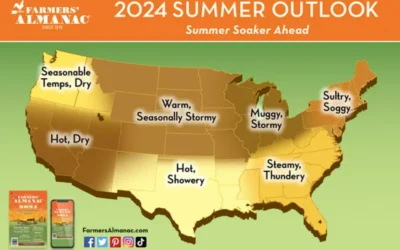 Sustainable Solutions for a Hot Midwest Summer