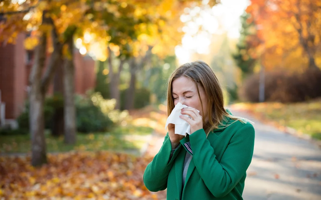 Breathe Easy This Fall: Allergy Friendly Landscaping Solutions from BE