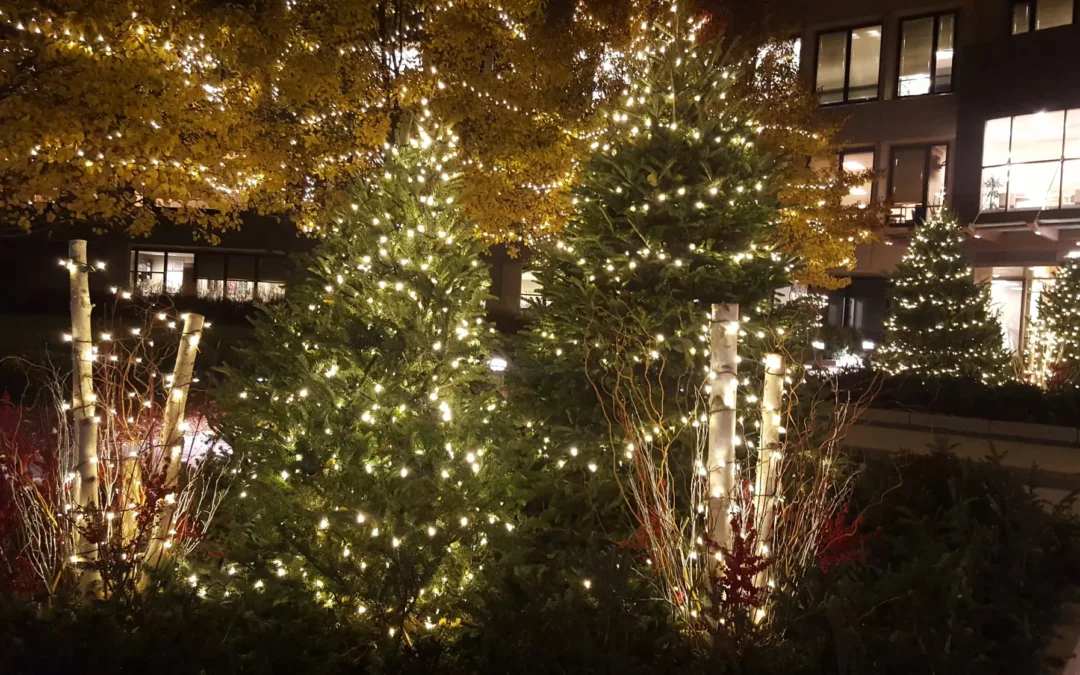 Seasonal Splendor: Our Winter Décor Creations