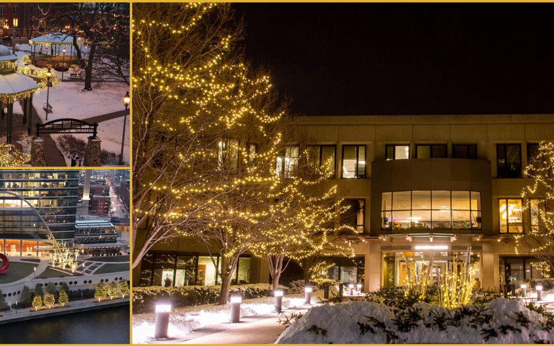 Brighten Up Your Holidays with Balanced Environments!
