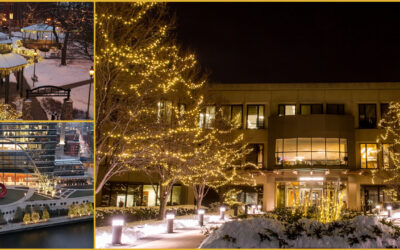 Brighten Up Your Holidays with Balanced Environments!