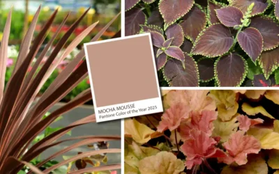2025 Color of the Year: Bring Mocha Mousse into Your Outdoor Design