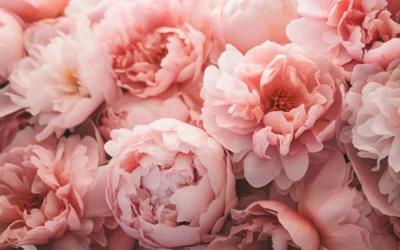 Love is in Bloom! Plan Your Spring Flowers Today!