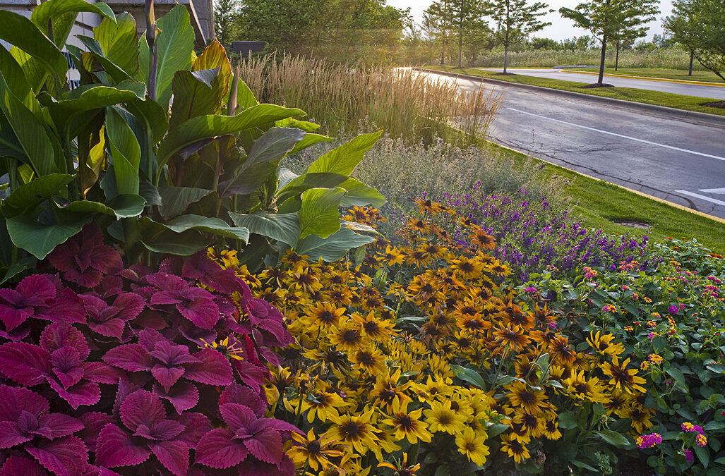 THINK SUMMER! Plan Your Seasonal Colors Now!