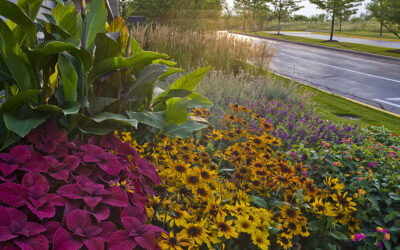 THINK SUMMER! Plan Your Seasonal Colors Now!