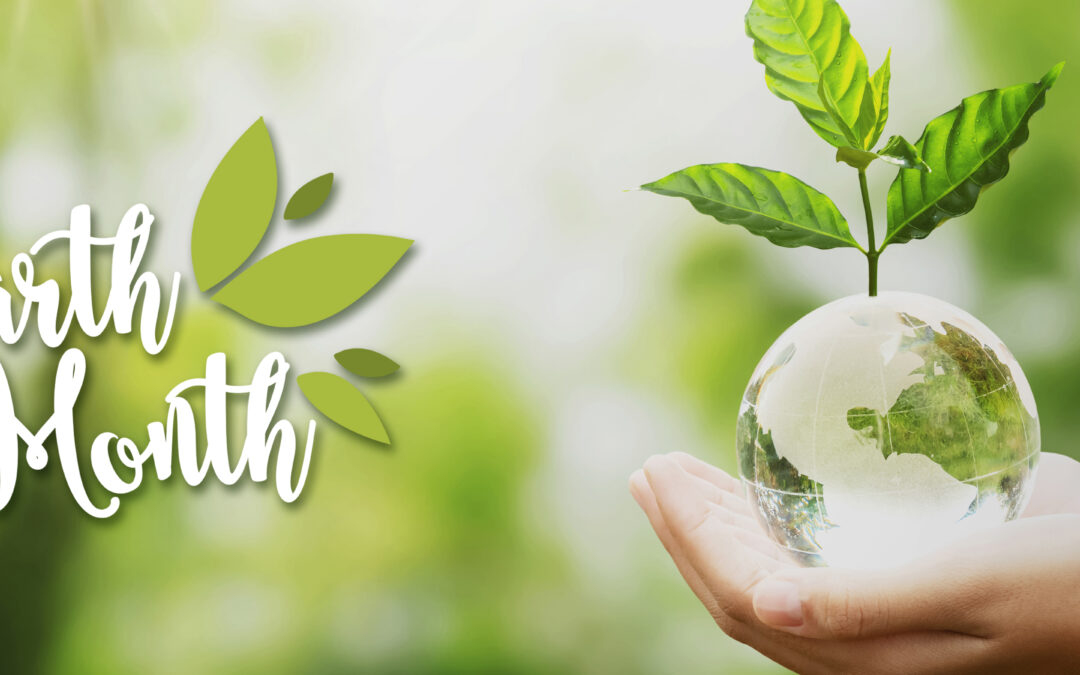 Celebrate Earth Month with Balanced Environments!