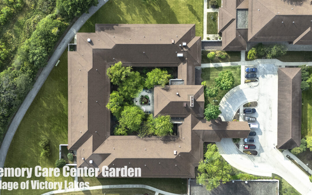 June is Brain Awareness Month—Is Your Landscape Helping or Hindering?