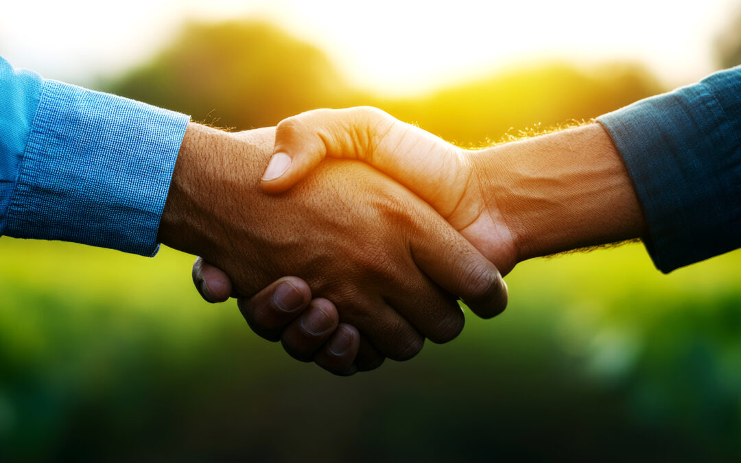 Strong Partnerships, Beautiful Results
