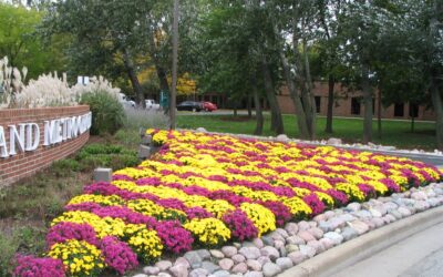 Fall Color in Full Bloom