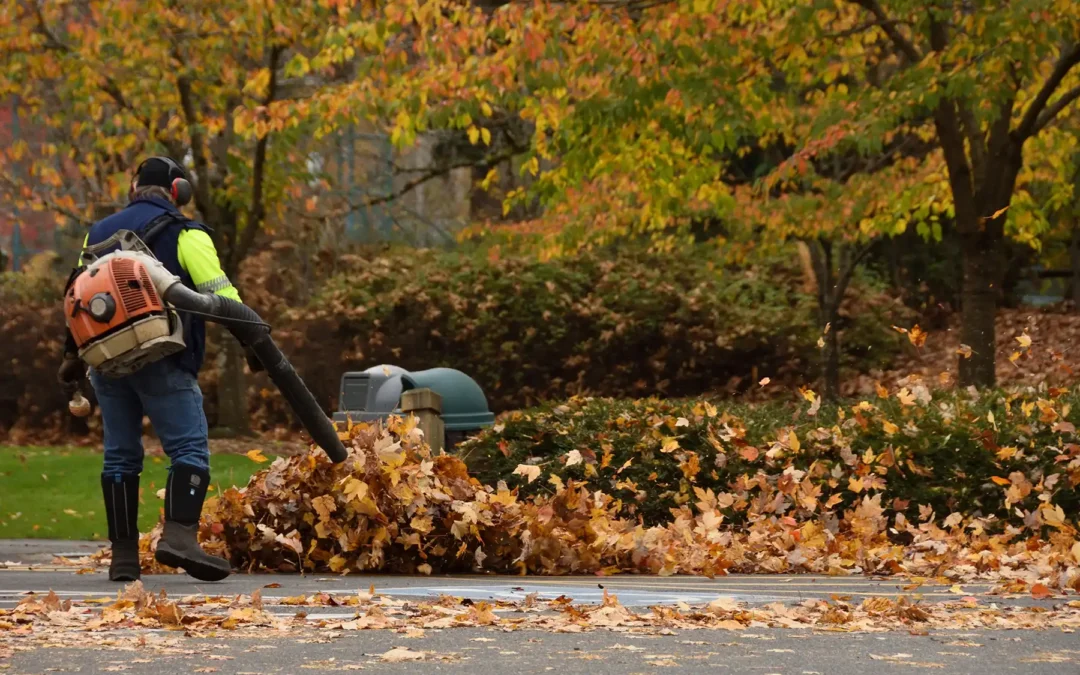 Fall Cleanup: Set the Stage for a Strong Spring!