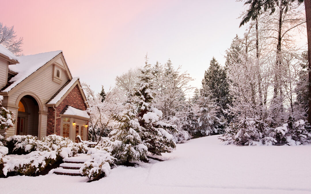 Maintain Winter Interest in Your Landscape