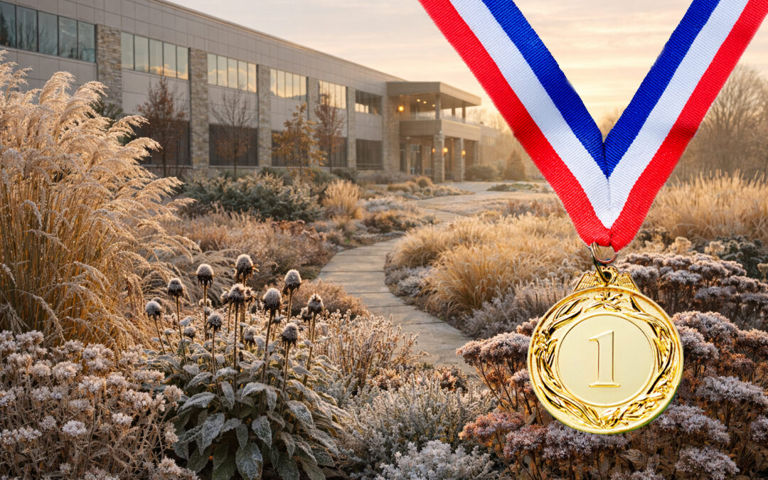 Go for Gold in Your Landscape with Perennial Planning! 🥇