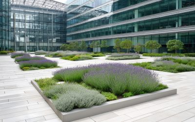A Fresh Take on Fall Landscaping